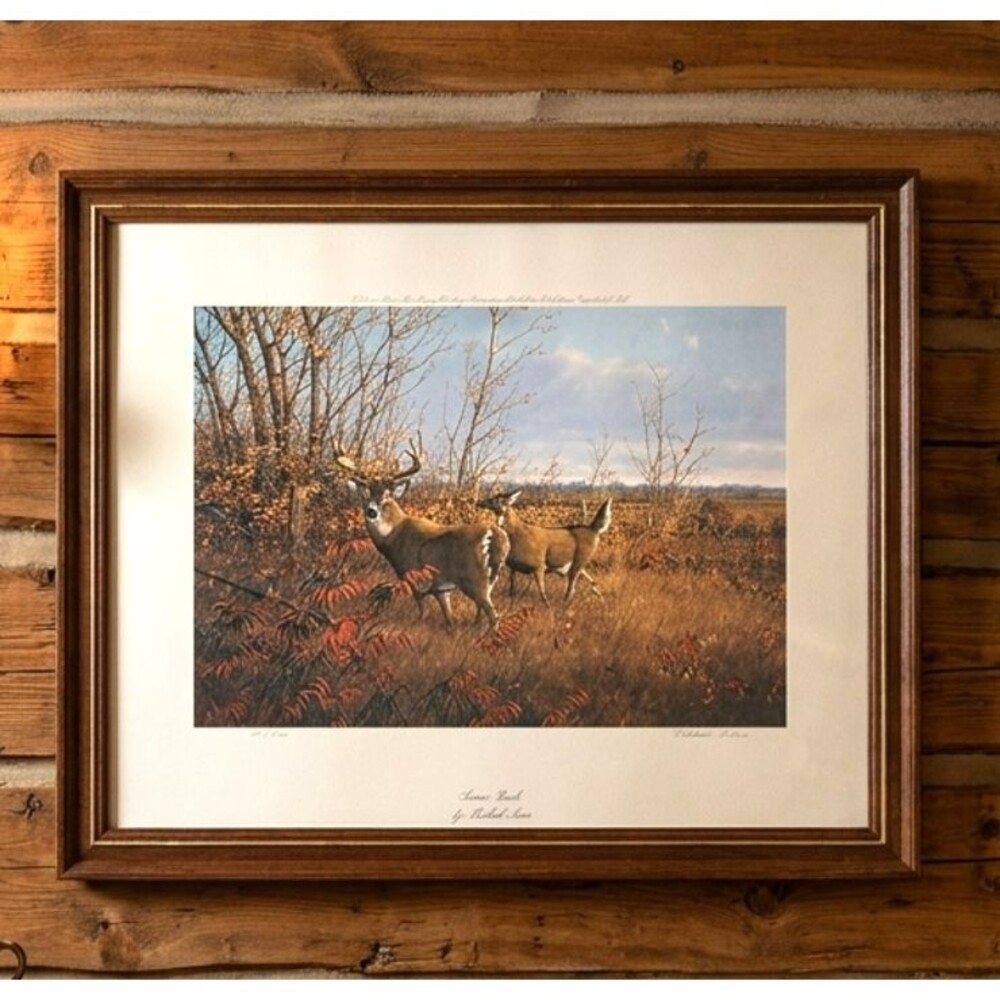 Very Rare Michael Sieve Sumac Buck - White Tail Deer - Wildlife Signed 553/950